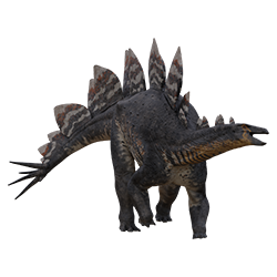 Stegosaurus dinosaur