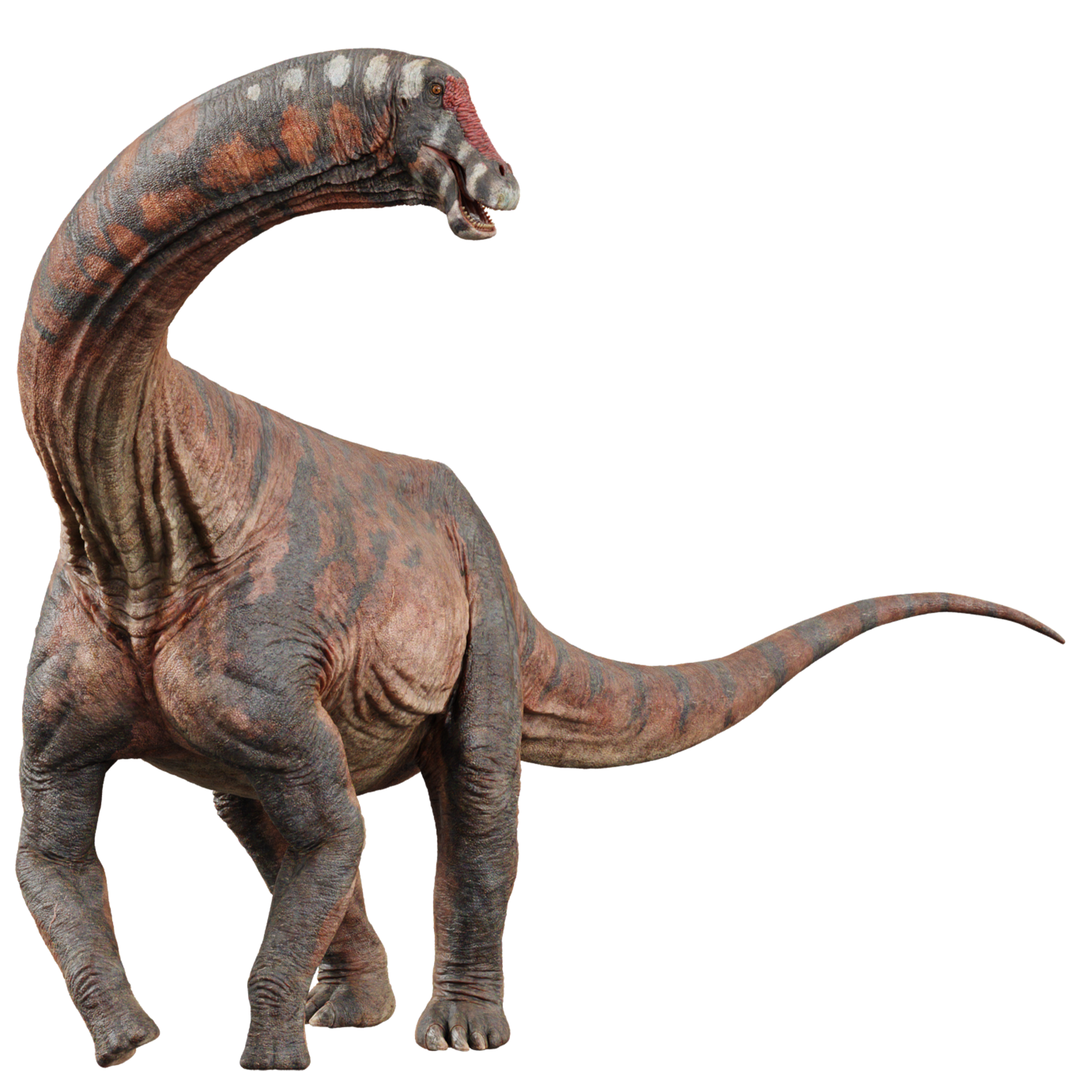 Accurate image of Inawentu with 360 view