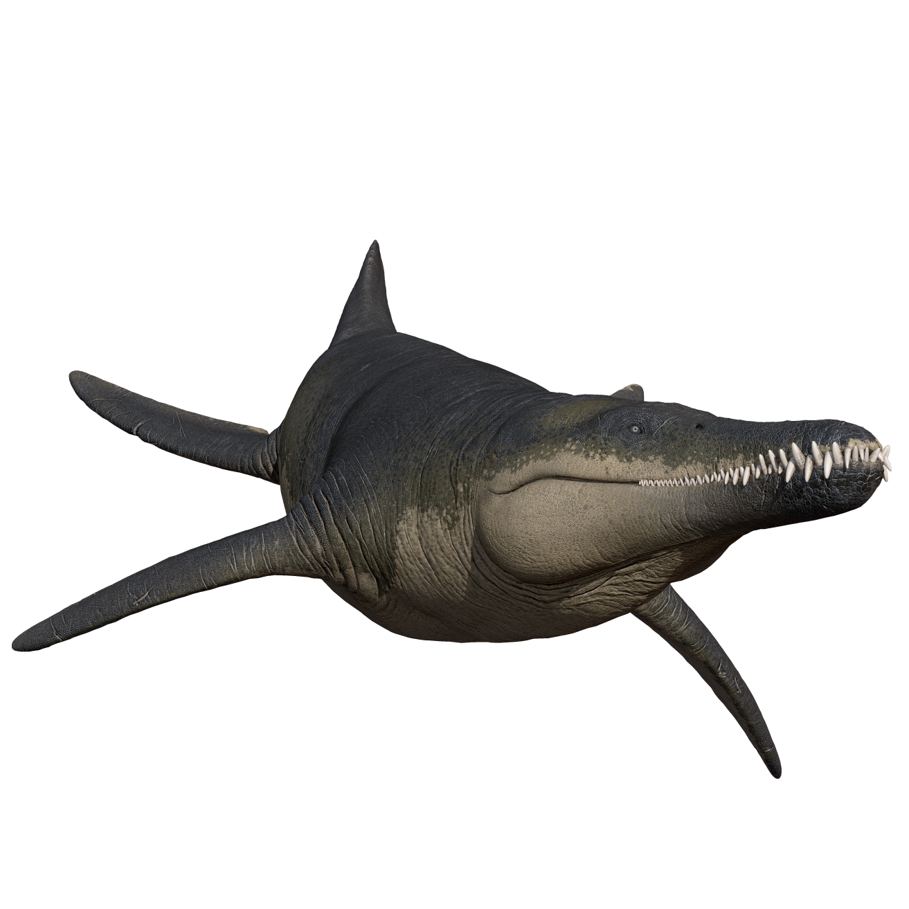 Accurate image of Kronosaurus with 360 view