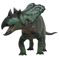 Chasmosaurus dinosaur