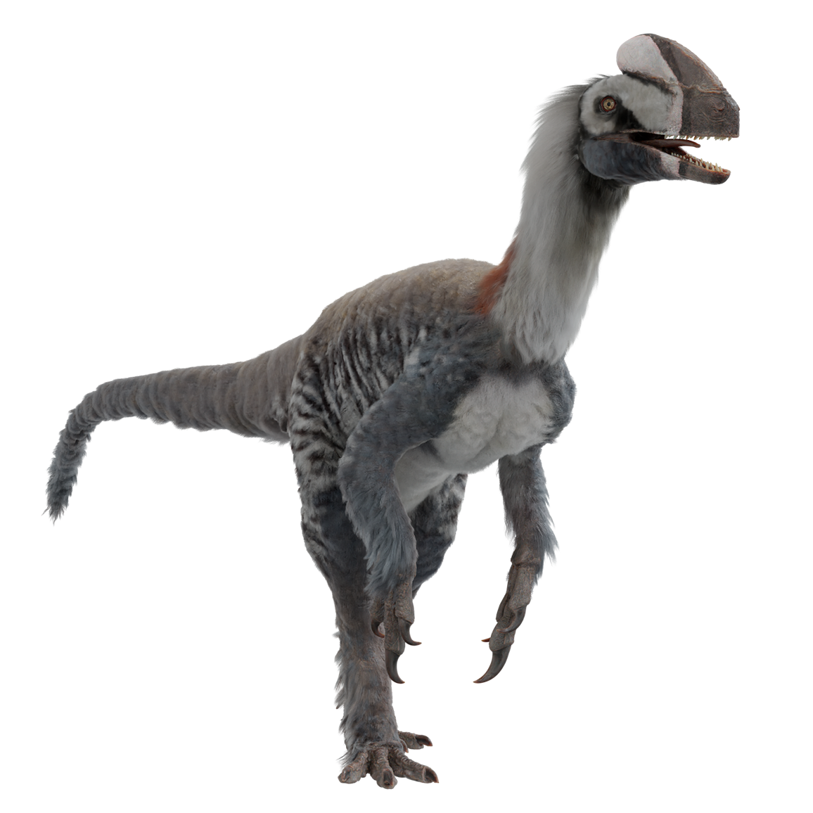 Accurate image of Guanlong with 360 view