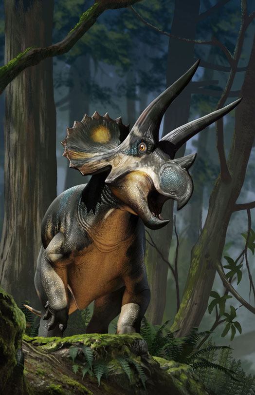 Triceratops standing in a defensive pose in a forest.