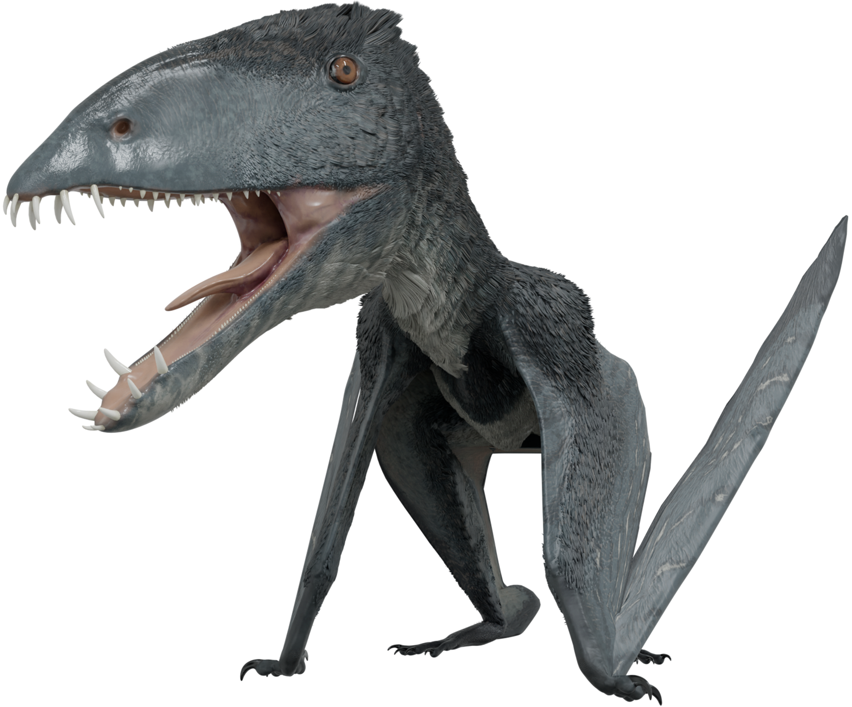 Accurate image of Dimorphodon with 360 view