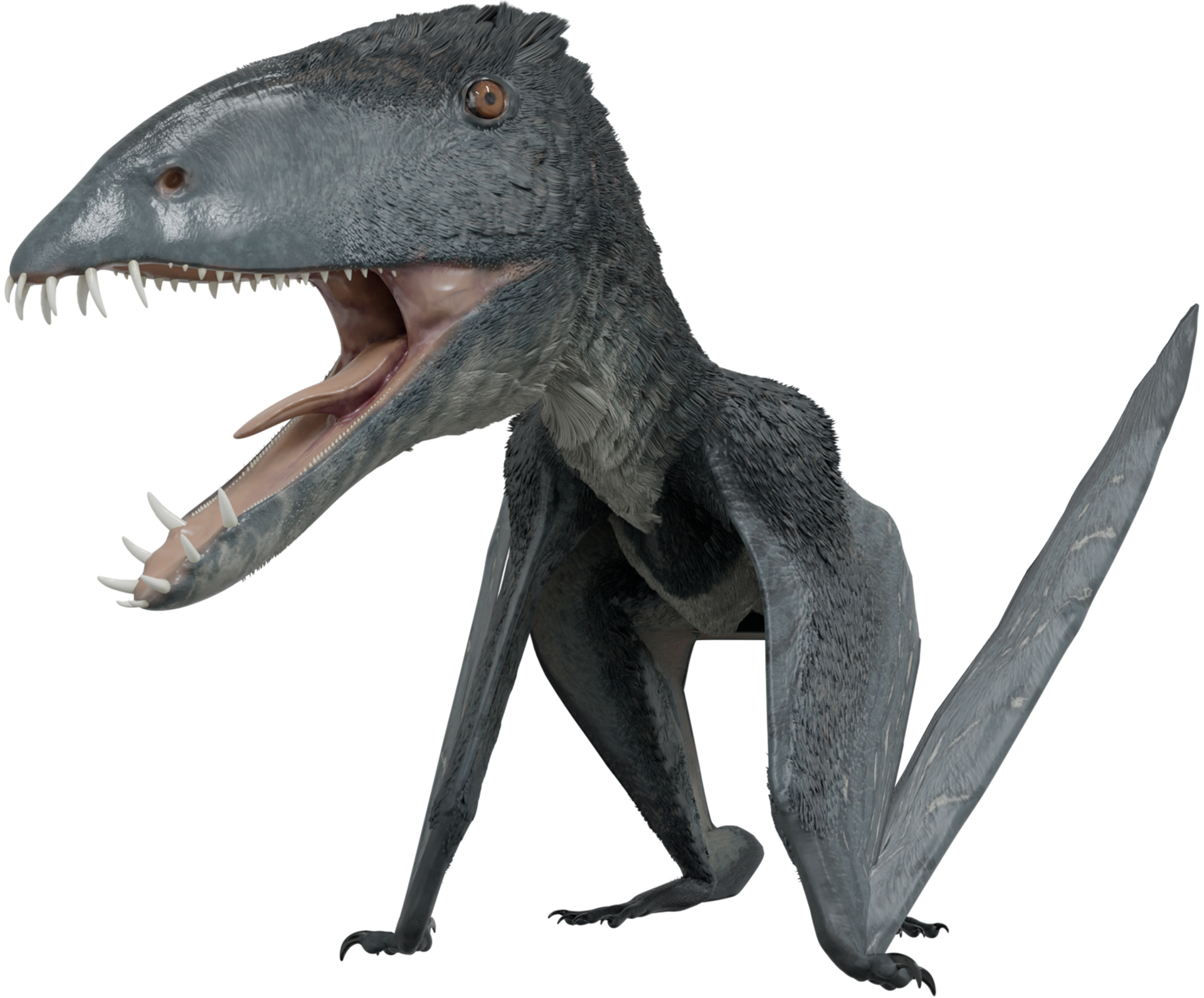 Dimorphodon | Facts app