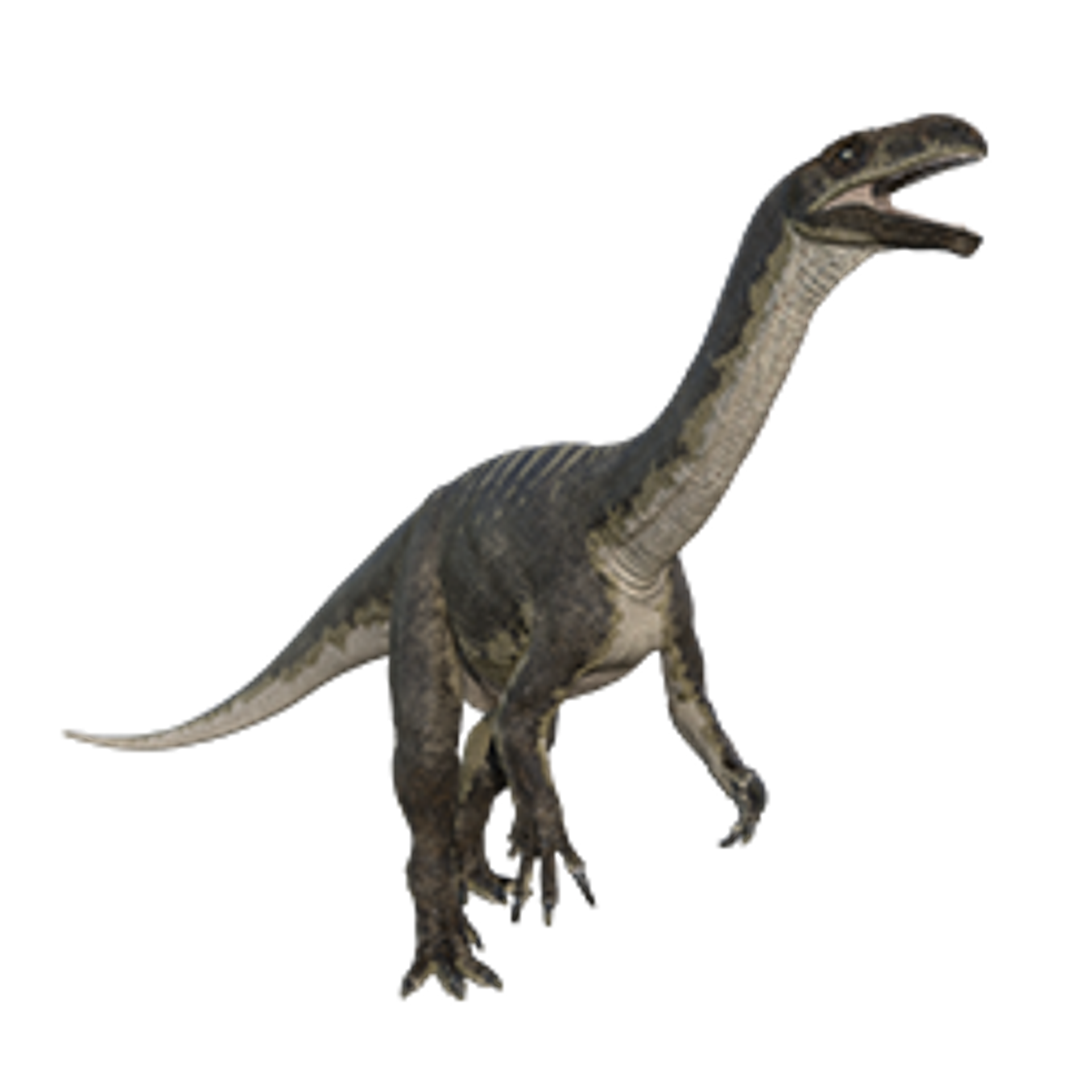 Compare Facts App compare-facts-app