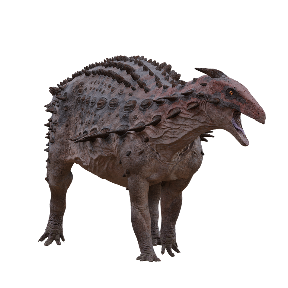 Accurate image of Scelidosaurus with 360 view