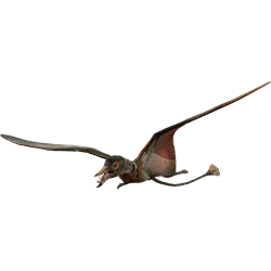 Rhamphorhynchus dinosaur