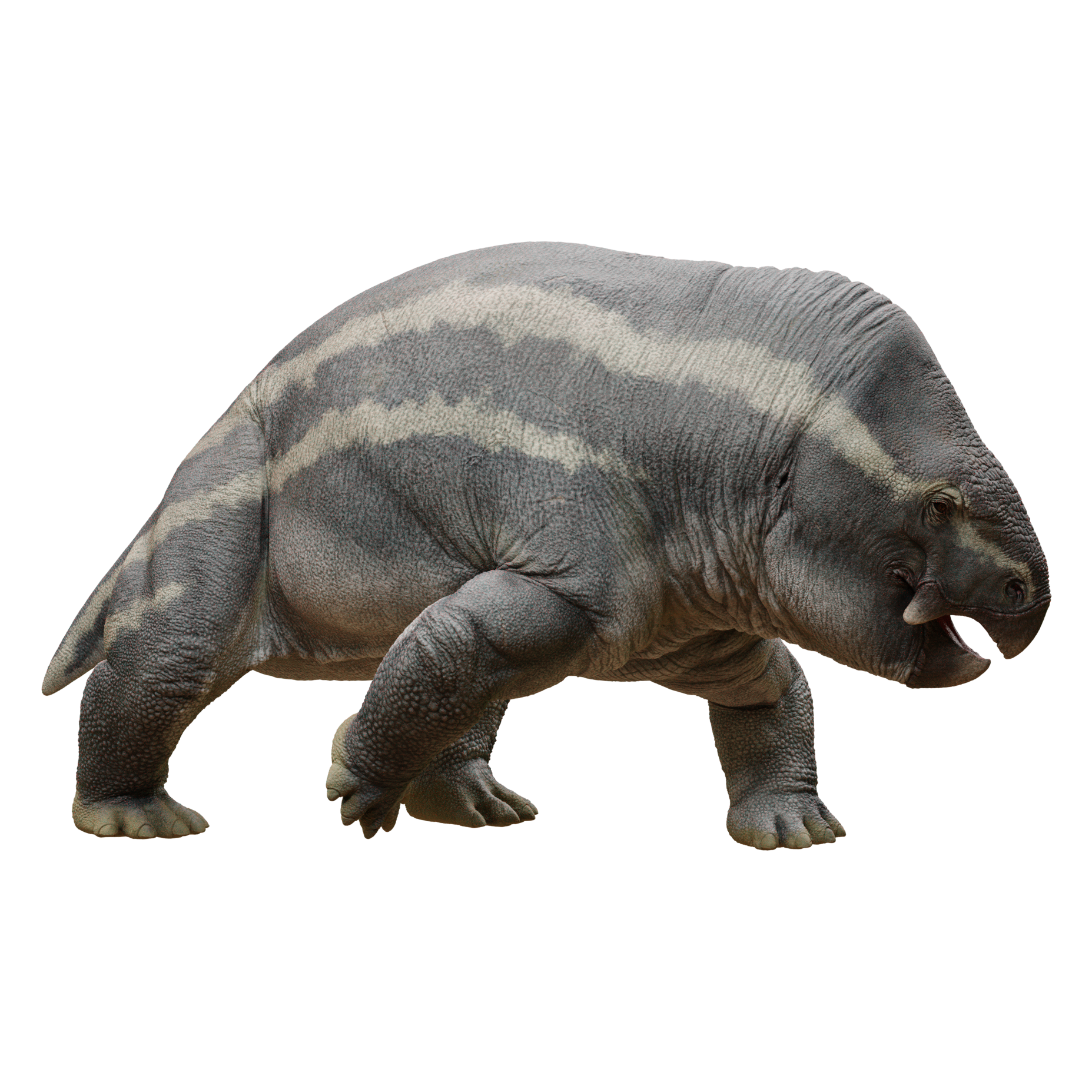 Accurate image of Ischigualastia with 360 view