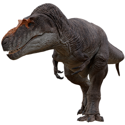Daspletosaurus dinosaur