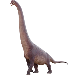 Brachiosaurus dinosaur