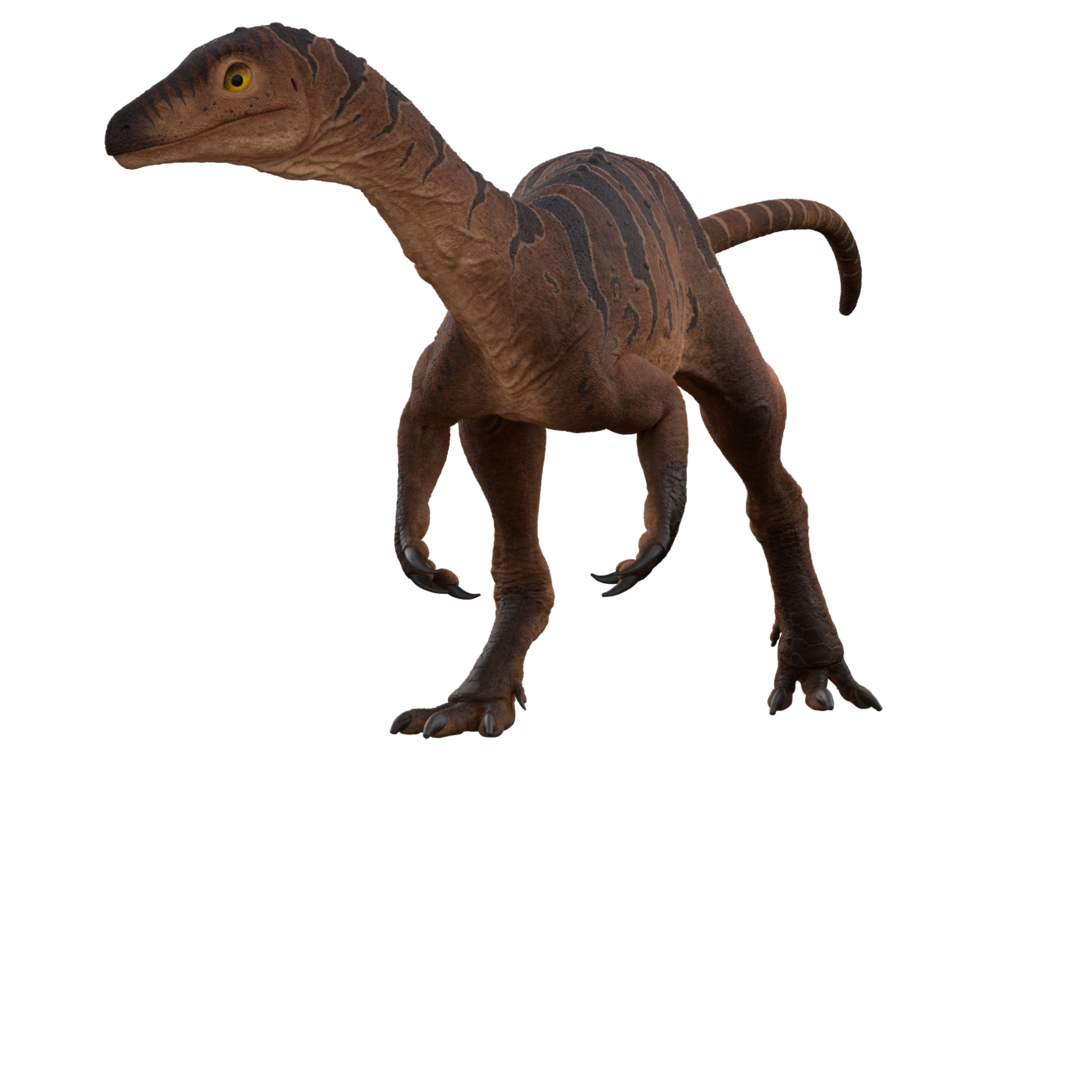 Accurate image of Panphagia with 360 view