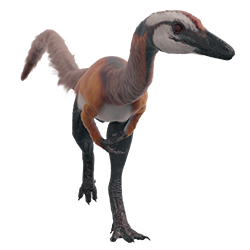 Compsognathus dinosaur