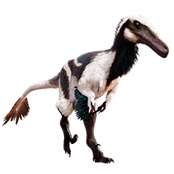 Austroraptor dinosaur