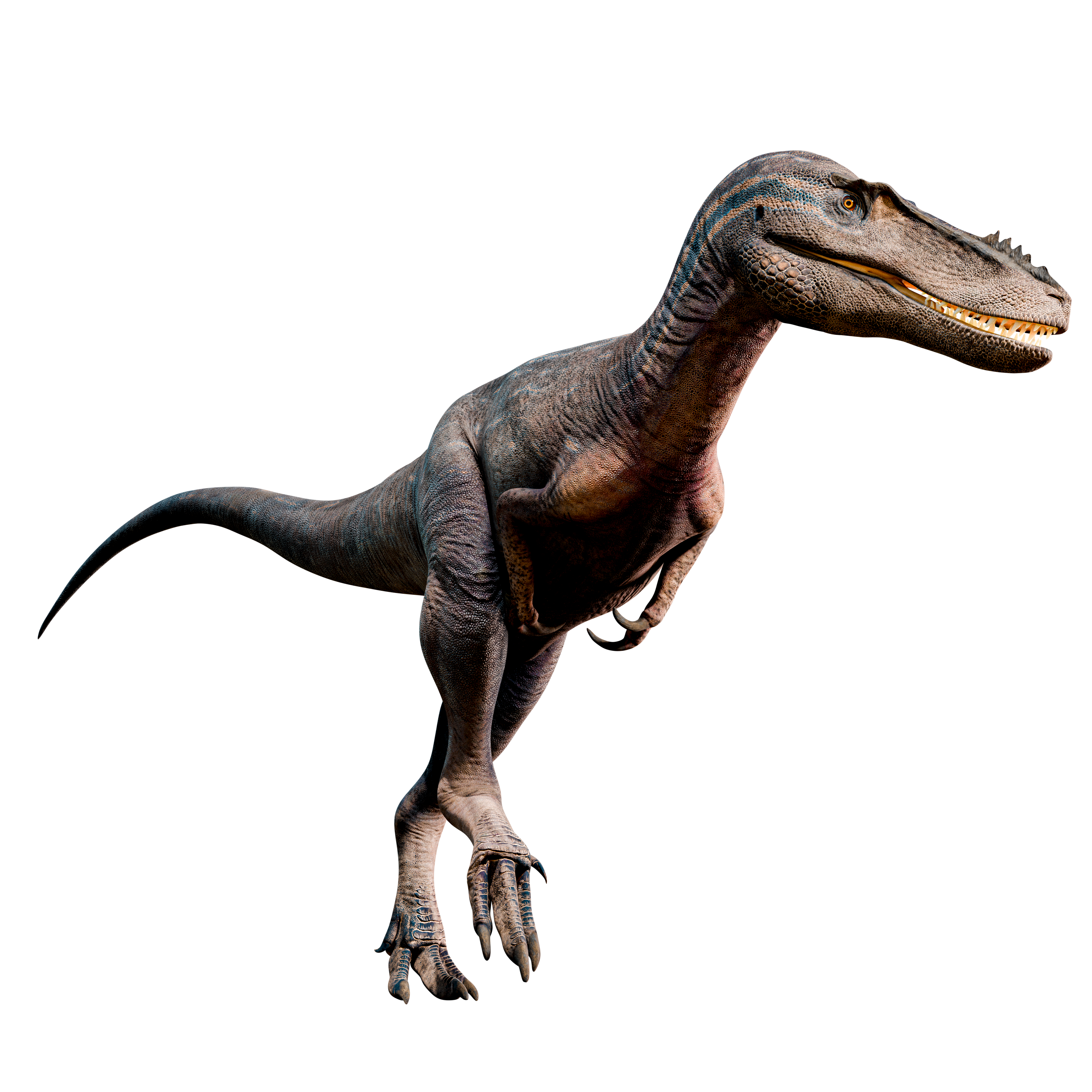 Accurate image of Alioramus with 360 view