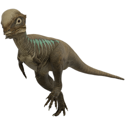 Stegoceras dinosaur