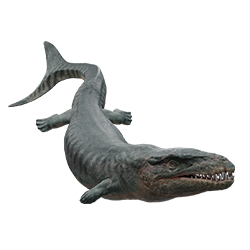 Dakosaurus dinosaur