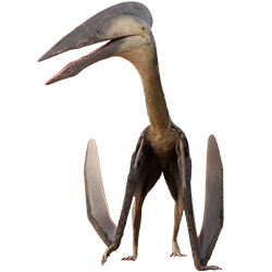 Hatzegopteryx dinosaur