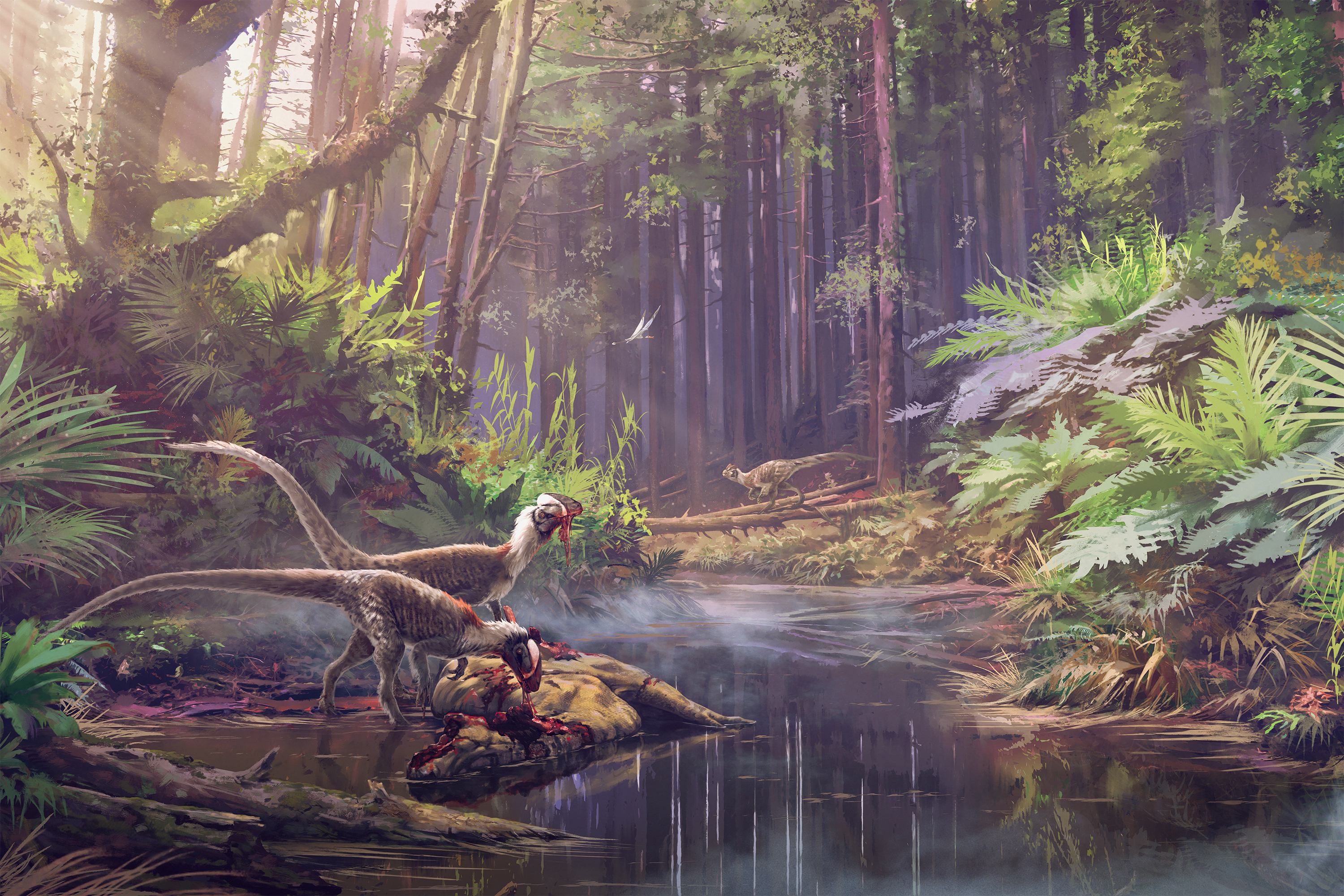 Deep within the thick forest, a pair of Guanlong delicately feed on the carcass of another dinosaur. In the distance, a rival Guanlong emerges, catching the attention of the feeding duo. A tense anticipation hangs in the air as the prehistoric scene hints at an impending confrontation over the scavenged remains.