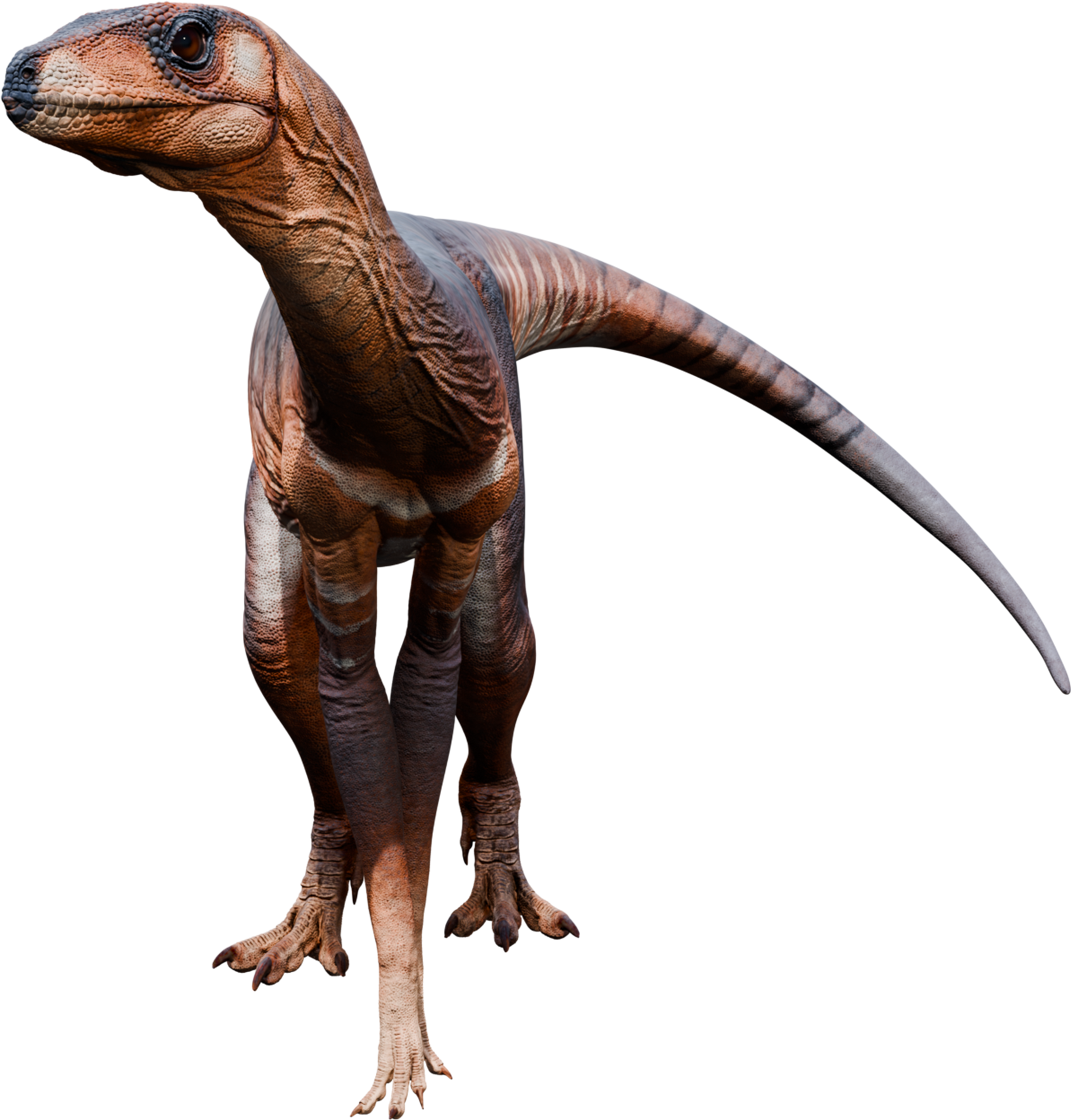 Accurate image of Silesaurus with 360 view