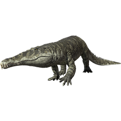 Smilosuchus dinosaur