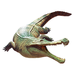 Sarcosuchus dinosaur