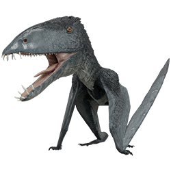 Dimorphodon dinosaur