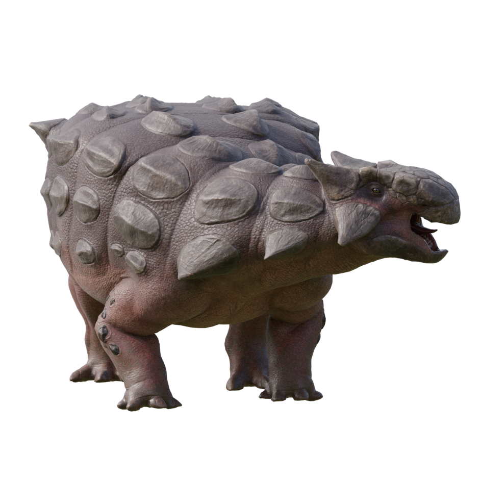 Accurate image of Ankylosaurus with 360 view