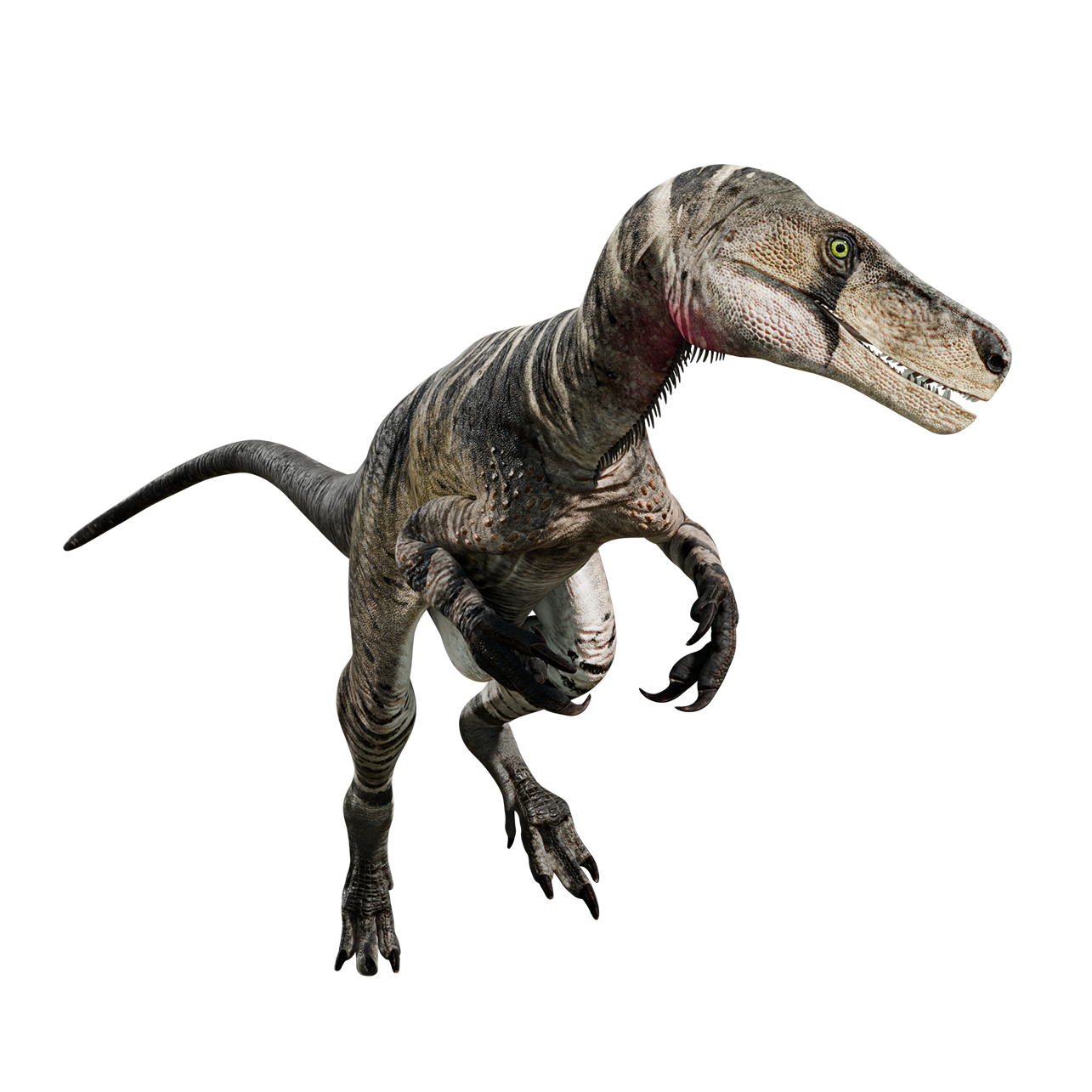 Accurate image of Herrerasaurus with 360 view