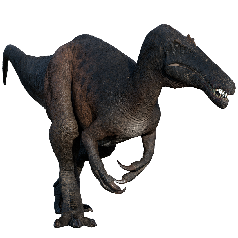 Accurate image of Riparovenator with 360 view