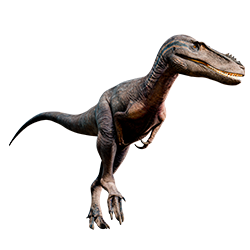 Alioramus dinosaur
