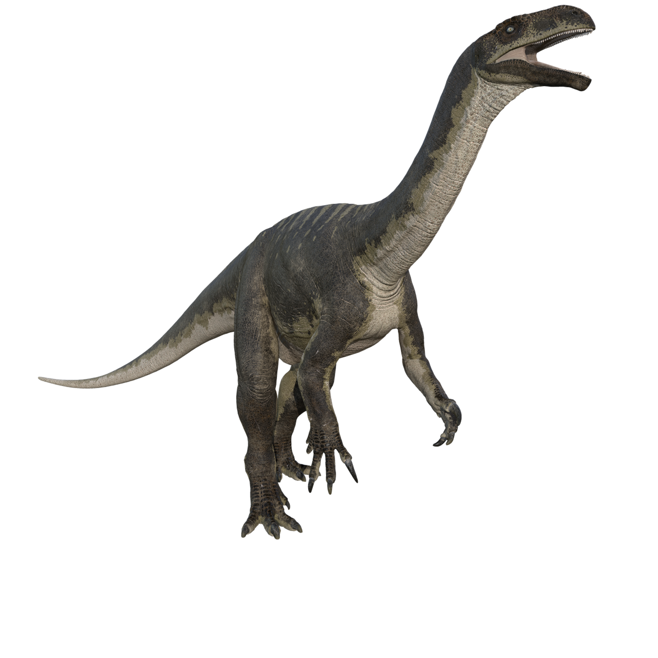 Accurate image of Plateosaurus with 360 view