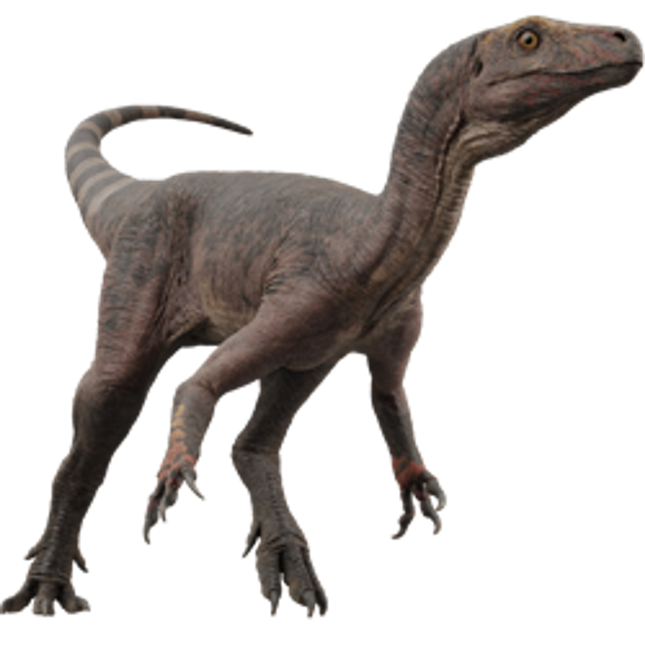 Compare Facts App compare-facts-app