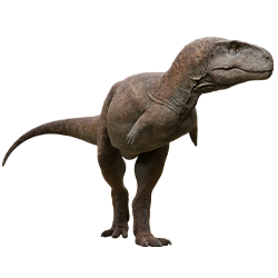Caletodraco dinosaur