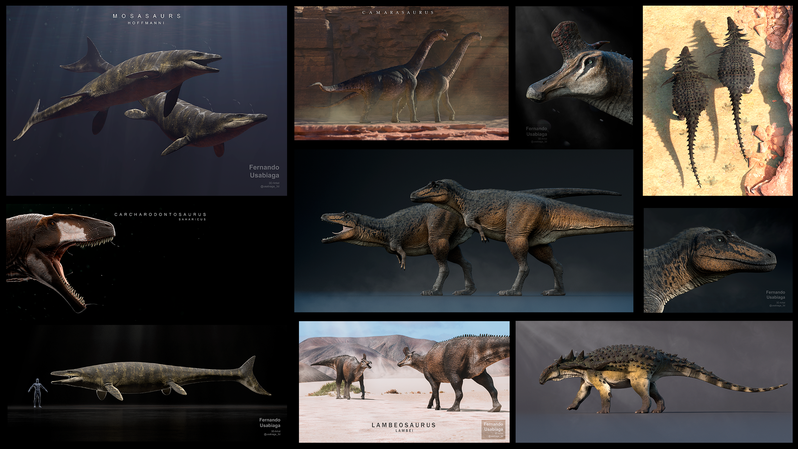 A collage of various dinosaurs.