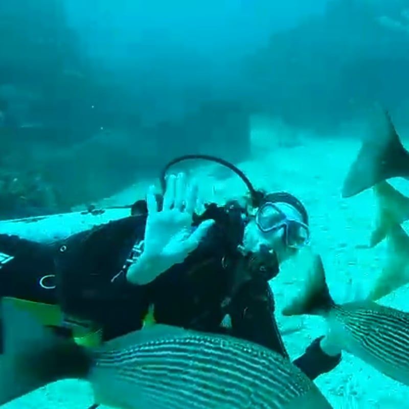 Laurence Janin en plongée