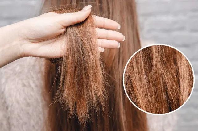 Tóc chẻ gọn dễ gãy rụng 