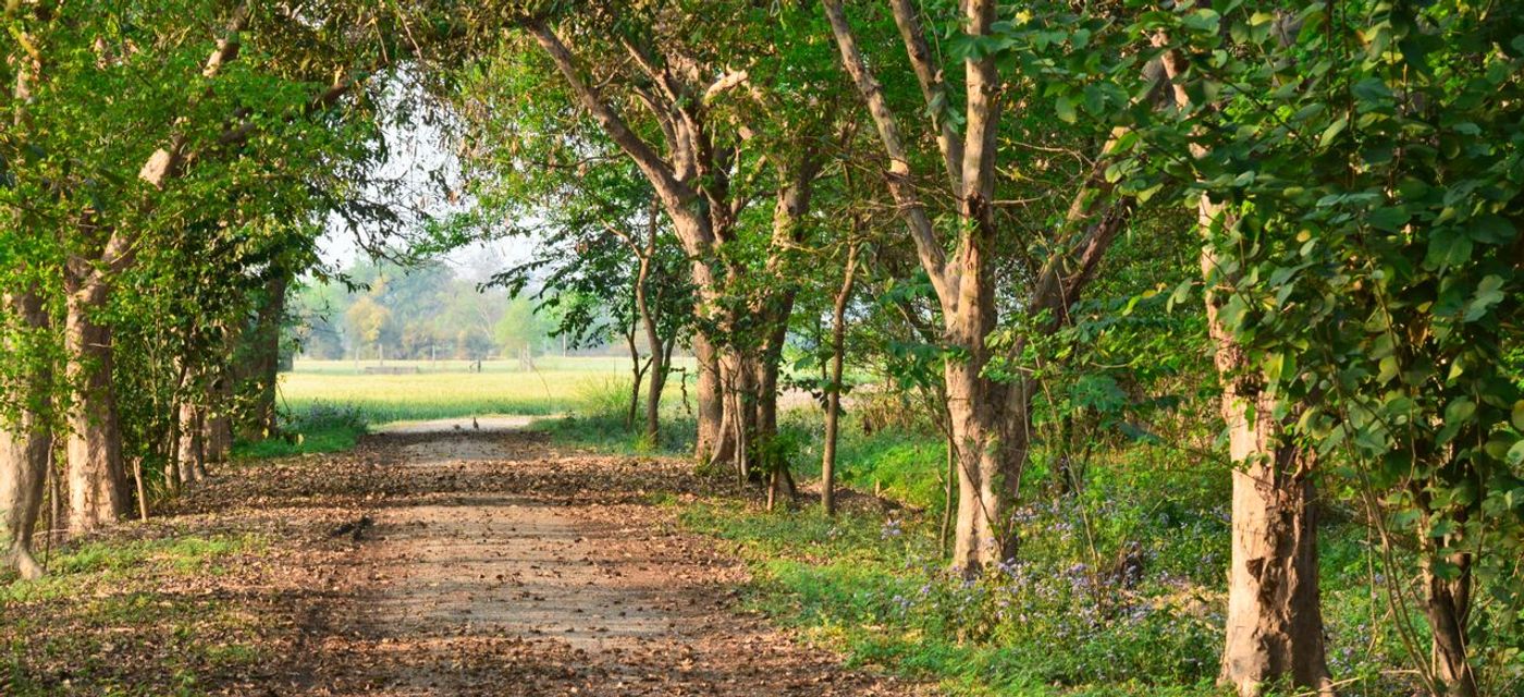 Environment and international trade