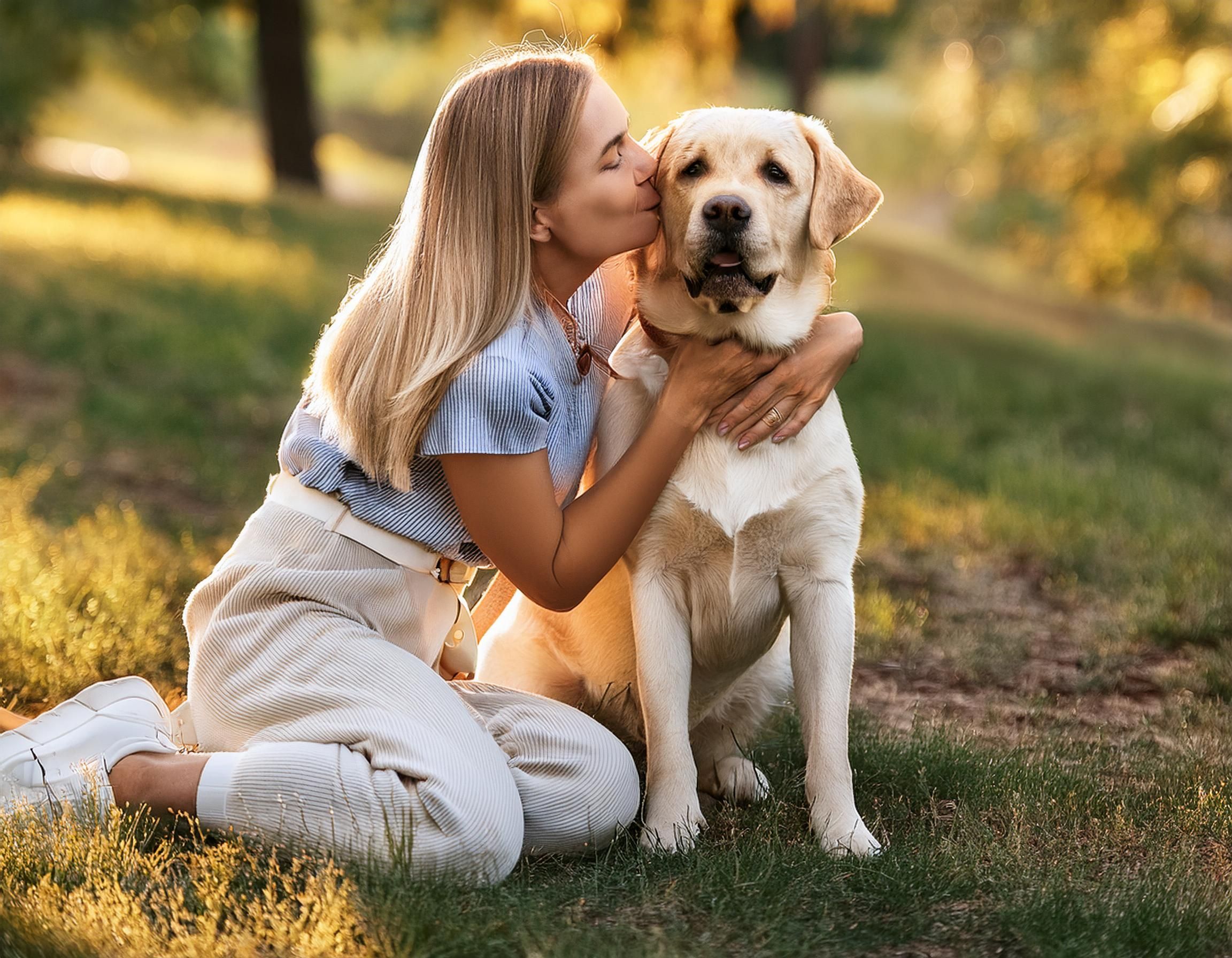 emotional-support-animals-at-work-uk