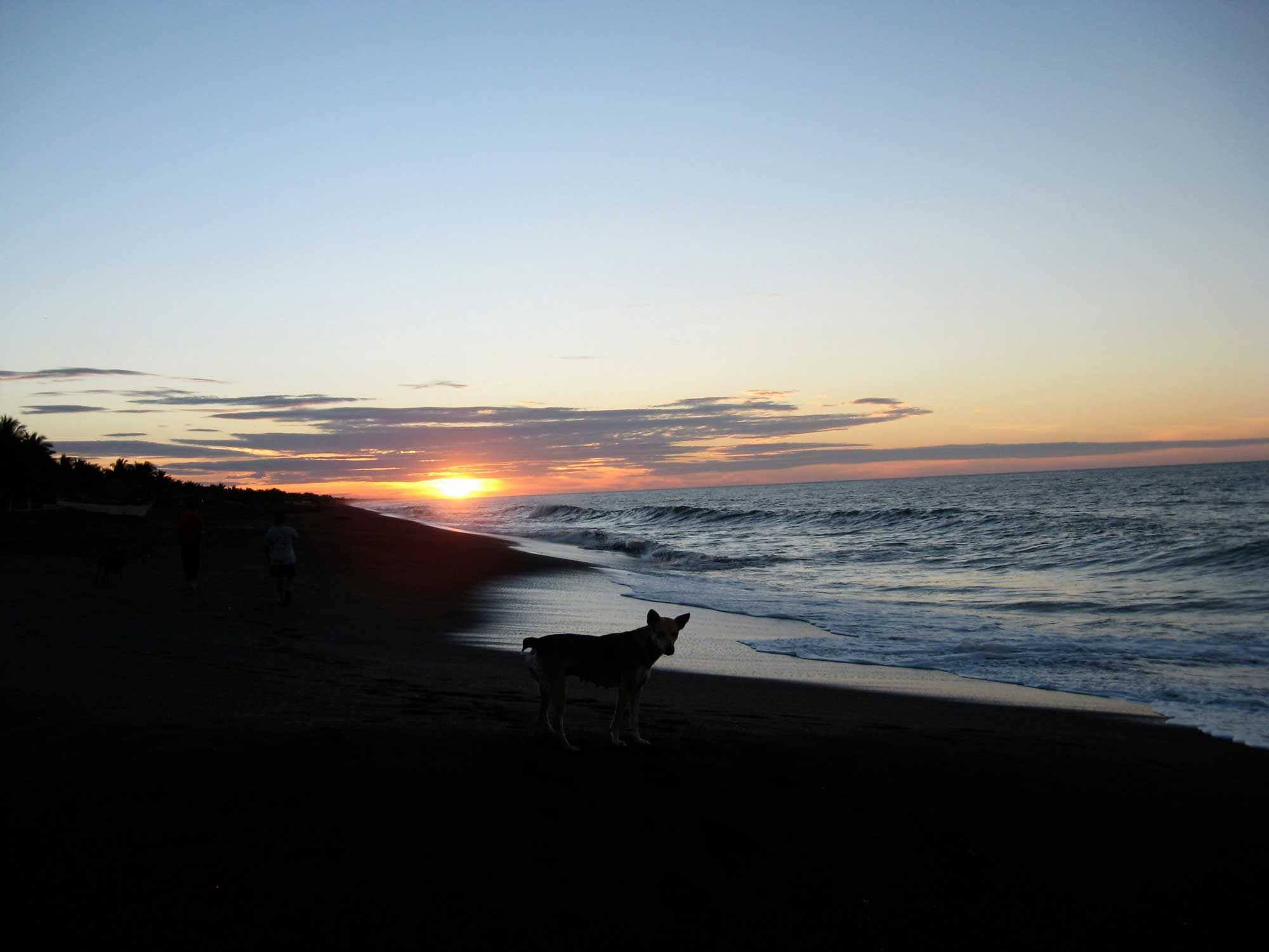 Monterrico