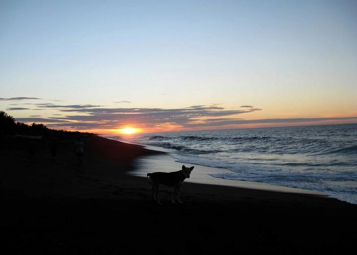 Naturaleza