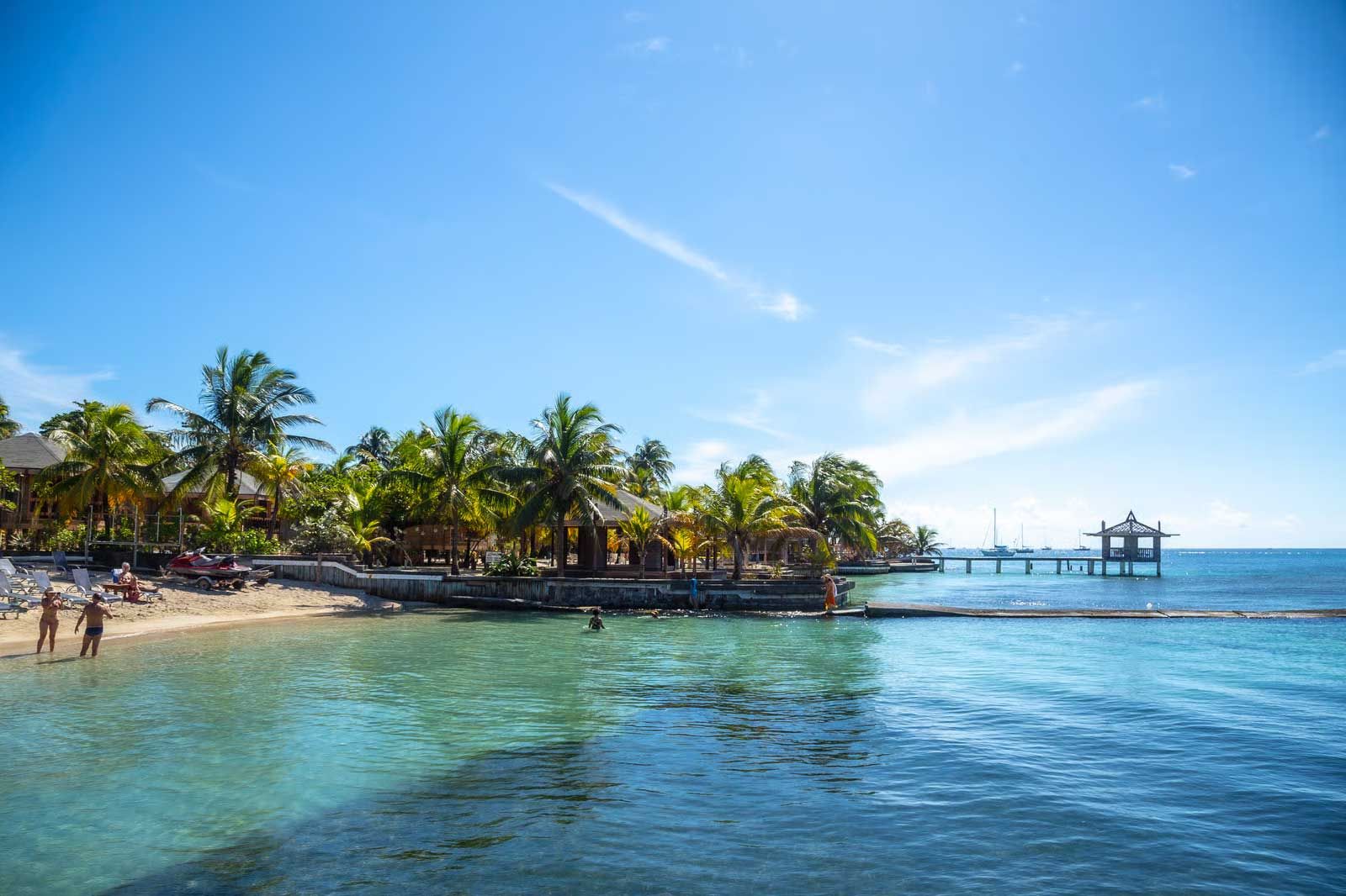 Roatán vivo