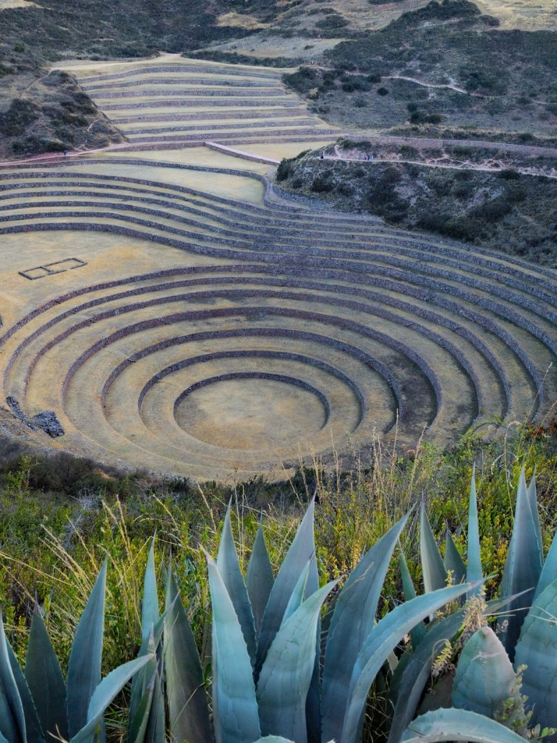 Moray