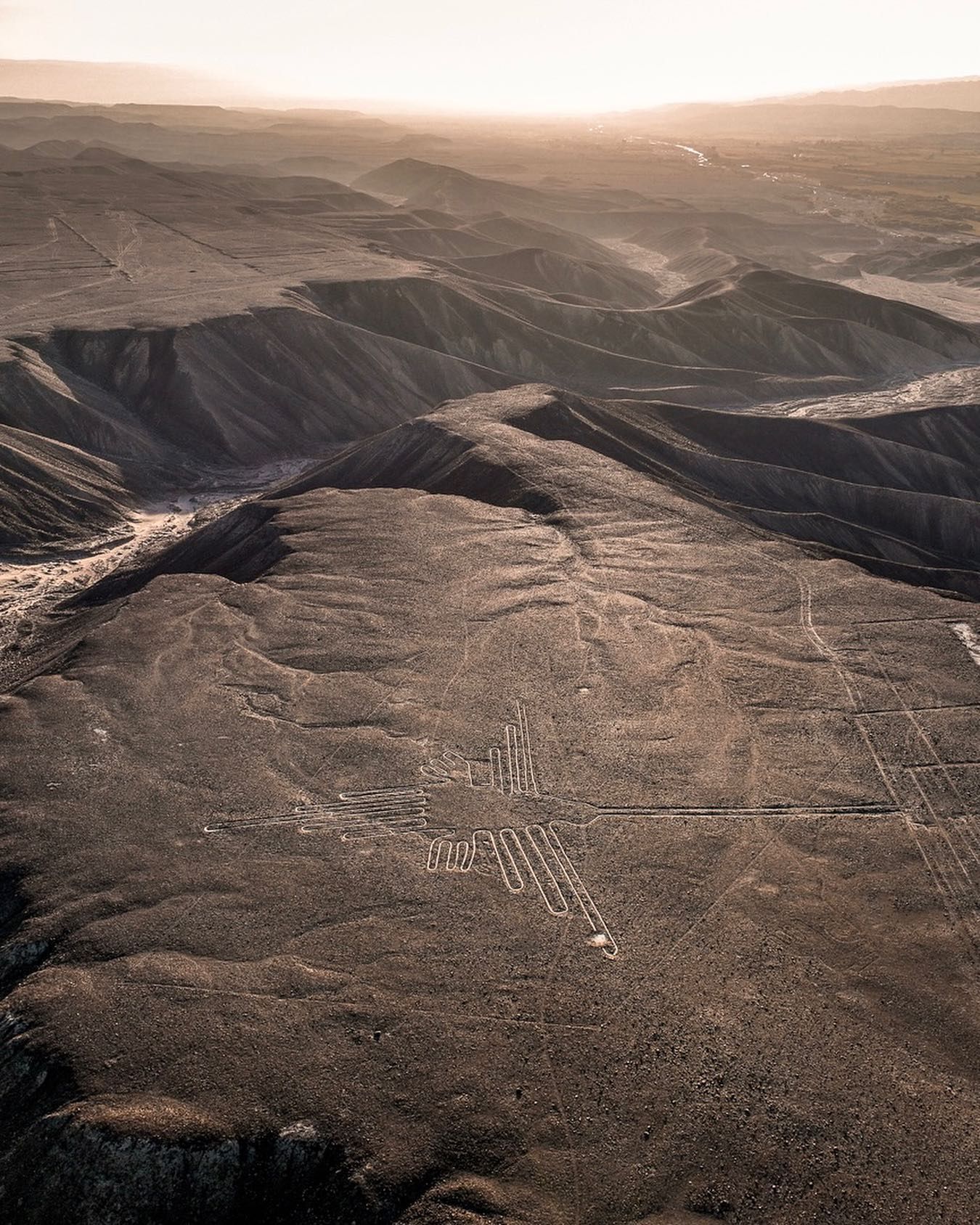 The hummingbird geoglyph