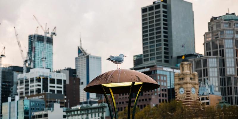 Inside Imperia’s Vision for Sustainable Urban Living