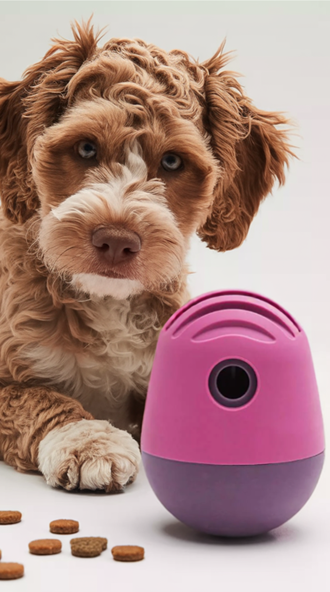Pet care product visual