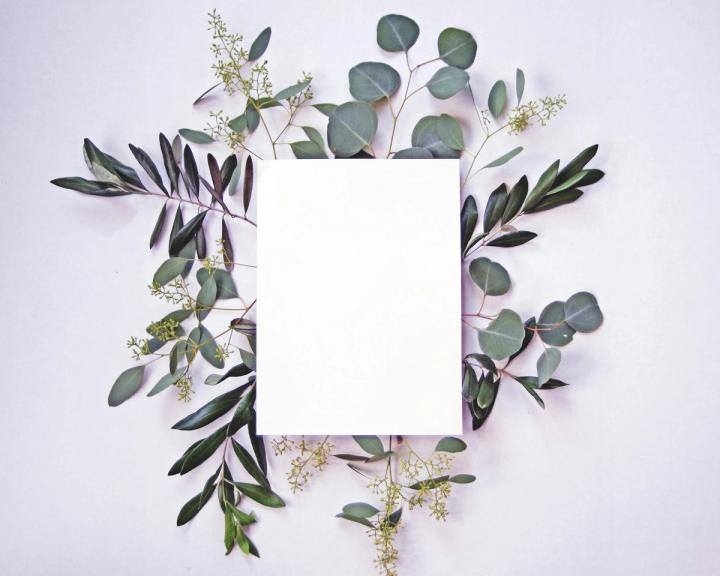 Blank white card lying on a pale surface, framed by eucalyptus and olive branches arranged around all four edges