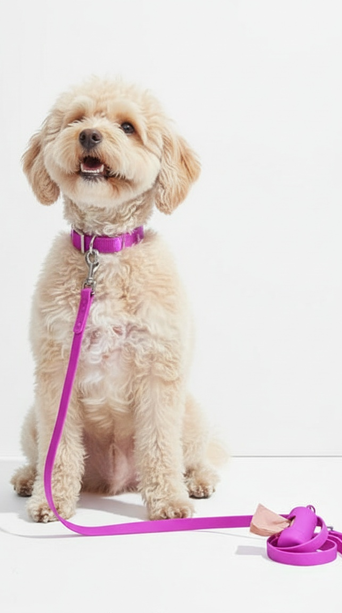 Pet care product visual