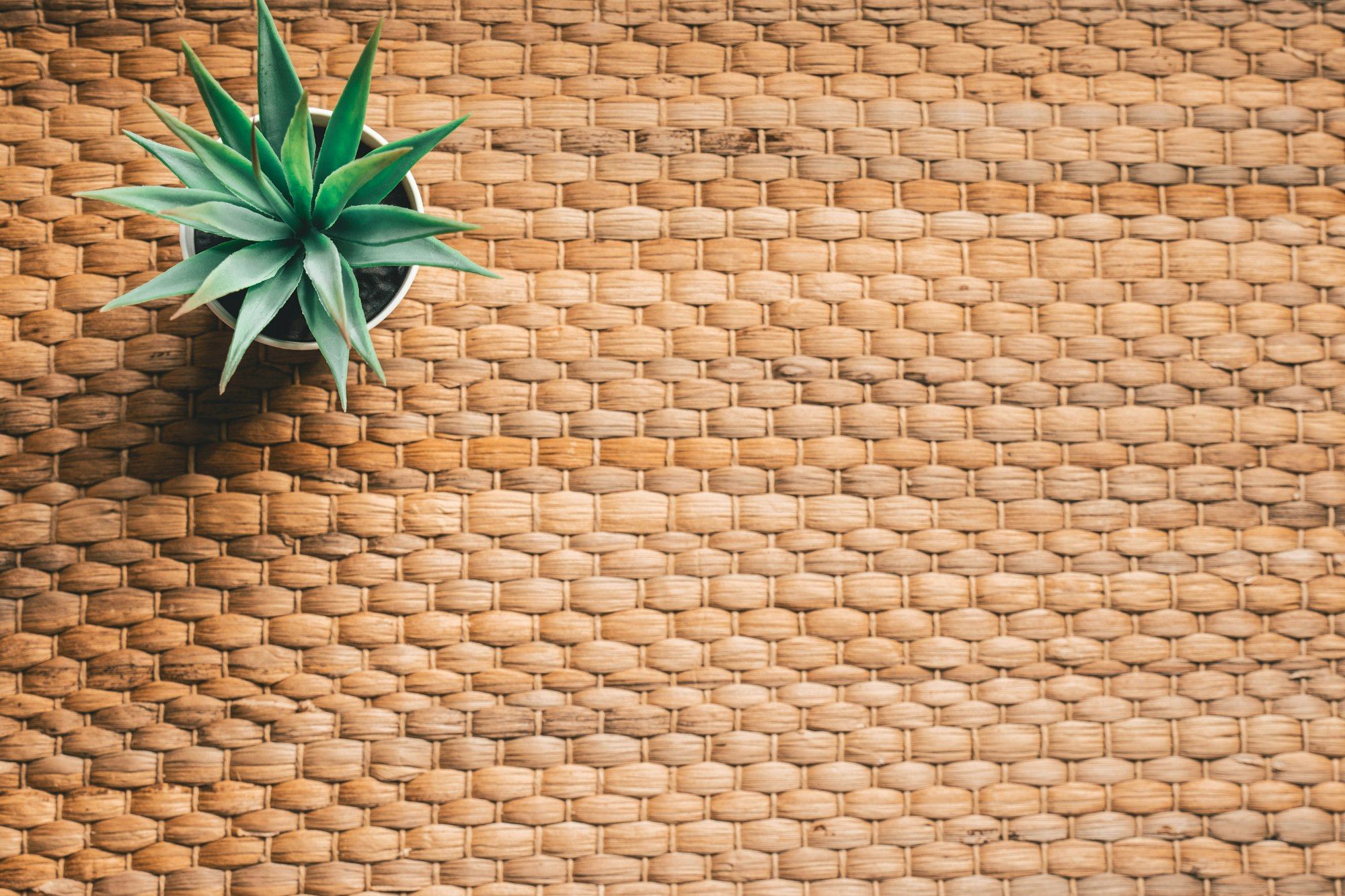 Overhead shot of a small aloe plant in a white pot on a woven seagrass surface, with the plant set to one side and empty texture filling the rest of the frame