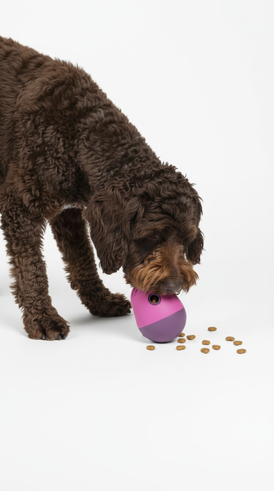 Pet care product visual