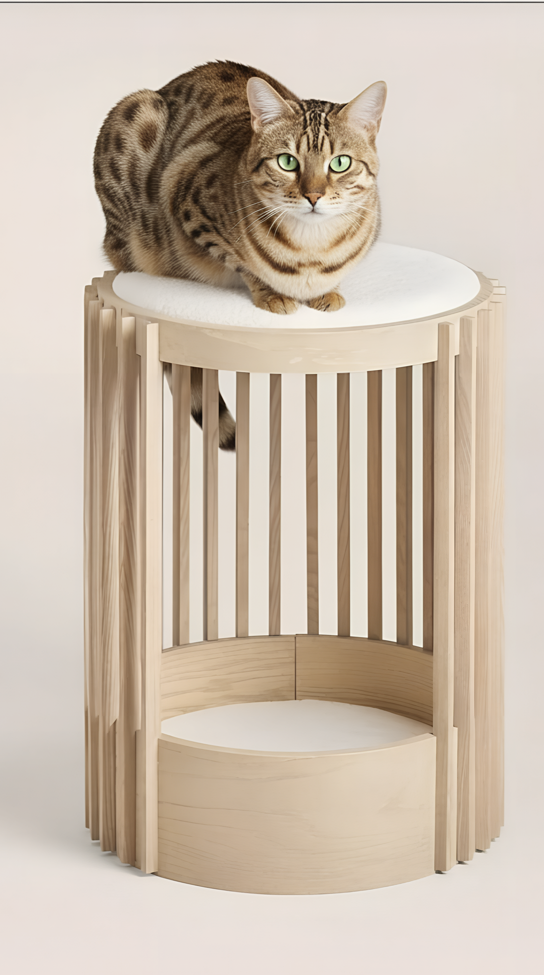 Pet care product visual